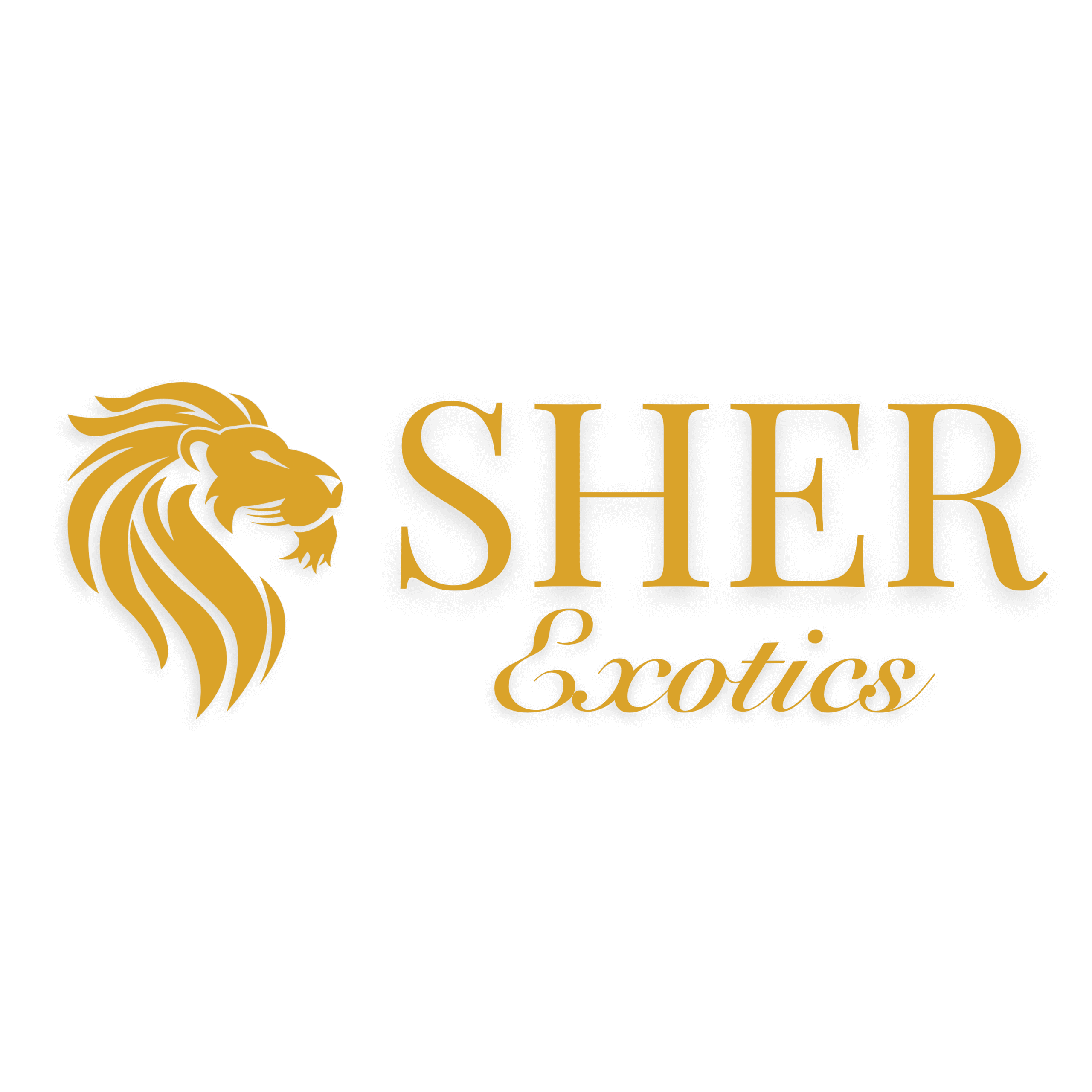 Sher Exotics – Luxury Car Rentals